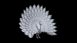 peacock bird, peacock, print, statue, pheasant, sculpture, interior