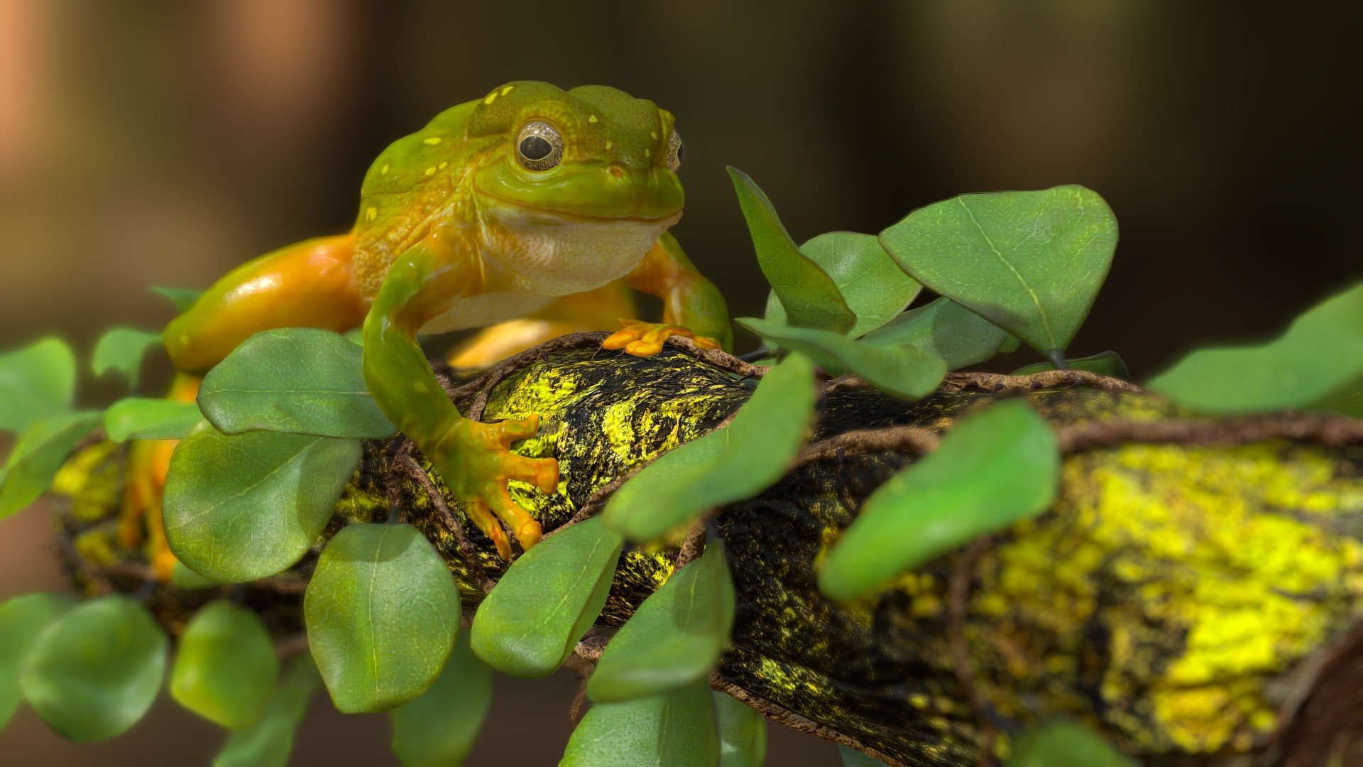 Hi All 
Sharing the my latest work based on Australian Green Tree Frog. I did find many skin color of the frog but find this one more attractive,
Pose is done in zbrush
Hope you like it

Thanks - Frog - 3D model by hellboy_hunts 3d model