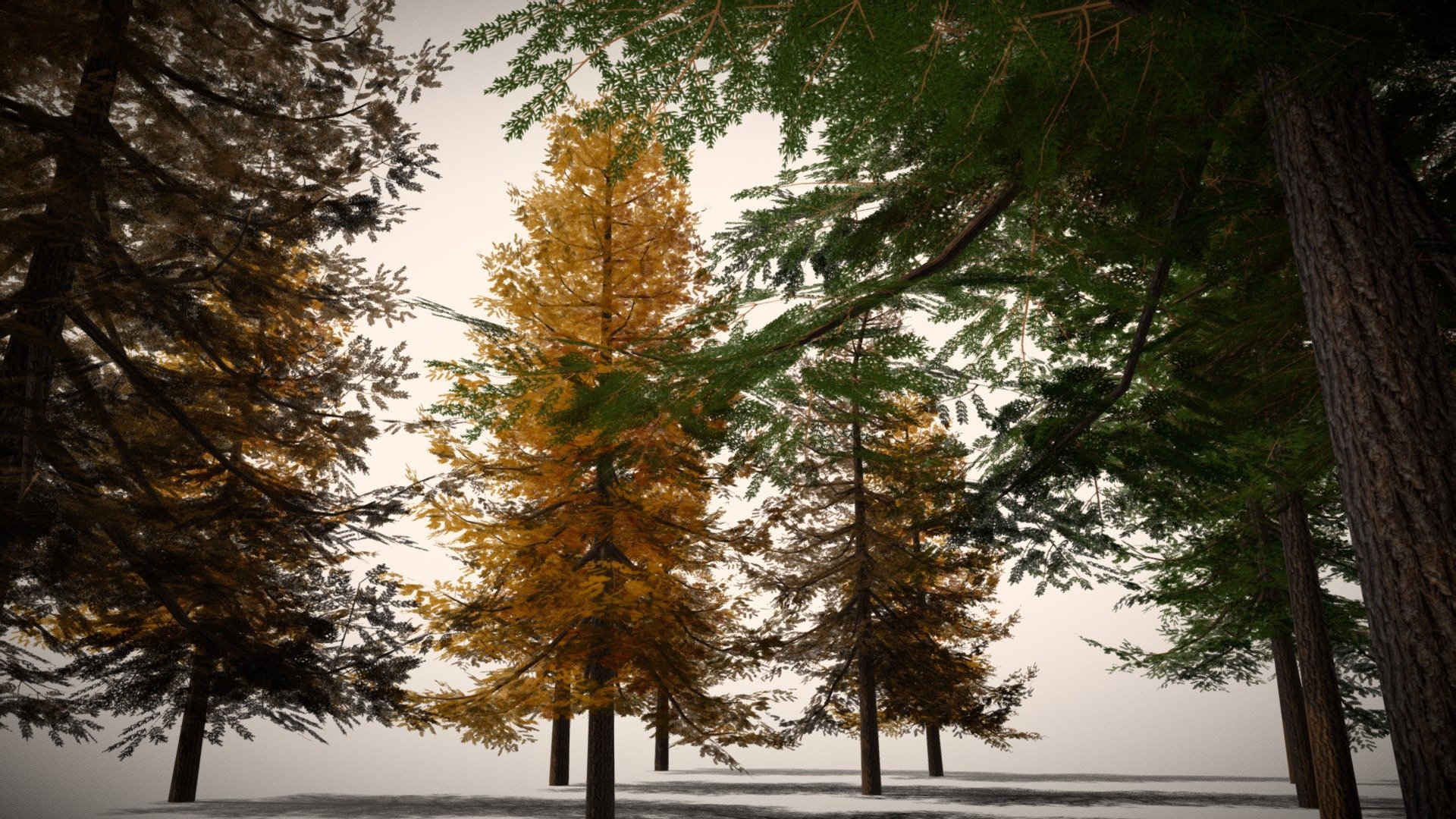 Pine Trees Low-Mid Poly
Full Scene File :Click Here
Note: The above Pine-Tree Showcase file is also included.

Asset Pack Description:-

5 types of Pine Tree mesh with Color Variations
Road and Rails mesh Modular(Use Array with Curve Modifier)
Full Scene fbx included
Textures Included

Additional Files Structure:-

Export Folder contain all the fbx model
Texture folder contain all the Textures
Pine Trees Blend file with SceneFile

Additional Notes/Tips:-

All Trees have Poly Count Less than 12k
Use subsurface/Translucency with lighter shade of leaf Texture using Brightness/Contrast in shader editor.
Roughness map on Leaf not applicable use value 0-1 according to your requirements and use lower secular Value unless you want some shiny Leaves
Use Color variation with same Normal And Opacity Mask in Shader Editor.

Thank You!
Contact me :nk.vmc.s@gmail.com - Pine Trees Low-Mid Poly - Buy Royalty Free 3D model by Nicholas-3D (@Nicholas01) 3d model