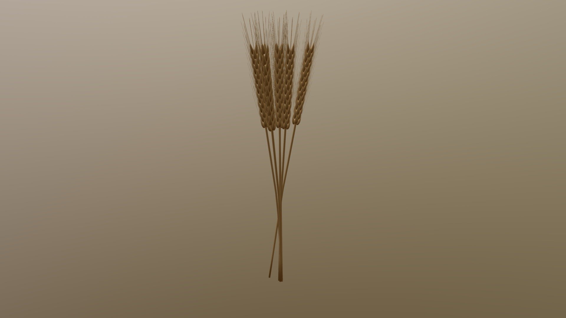 Wheat - 3D model by jerwinramos 3d model