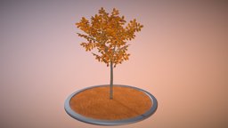 Rowan Tree tree, baum, blatt, game-ready, autumn, rowan, leave, herbst, vis-all-3d, eberesche, leaf-tree, 3dhaupt, software-service-john-gmbh, sorbus, aucuparia, rowan-tree-sorbus-aucuparia-4m, low-poly, lowpoly, blender3d