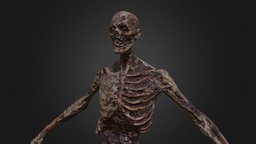 Decayed Zombie A dead, undead, enemy, realistic, corpse, rotten, decayed, asset, game, monster, horror, zombie
