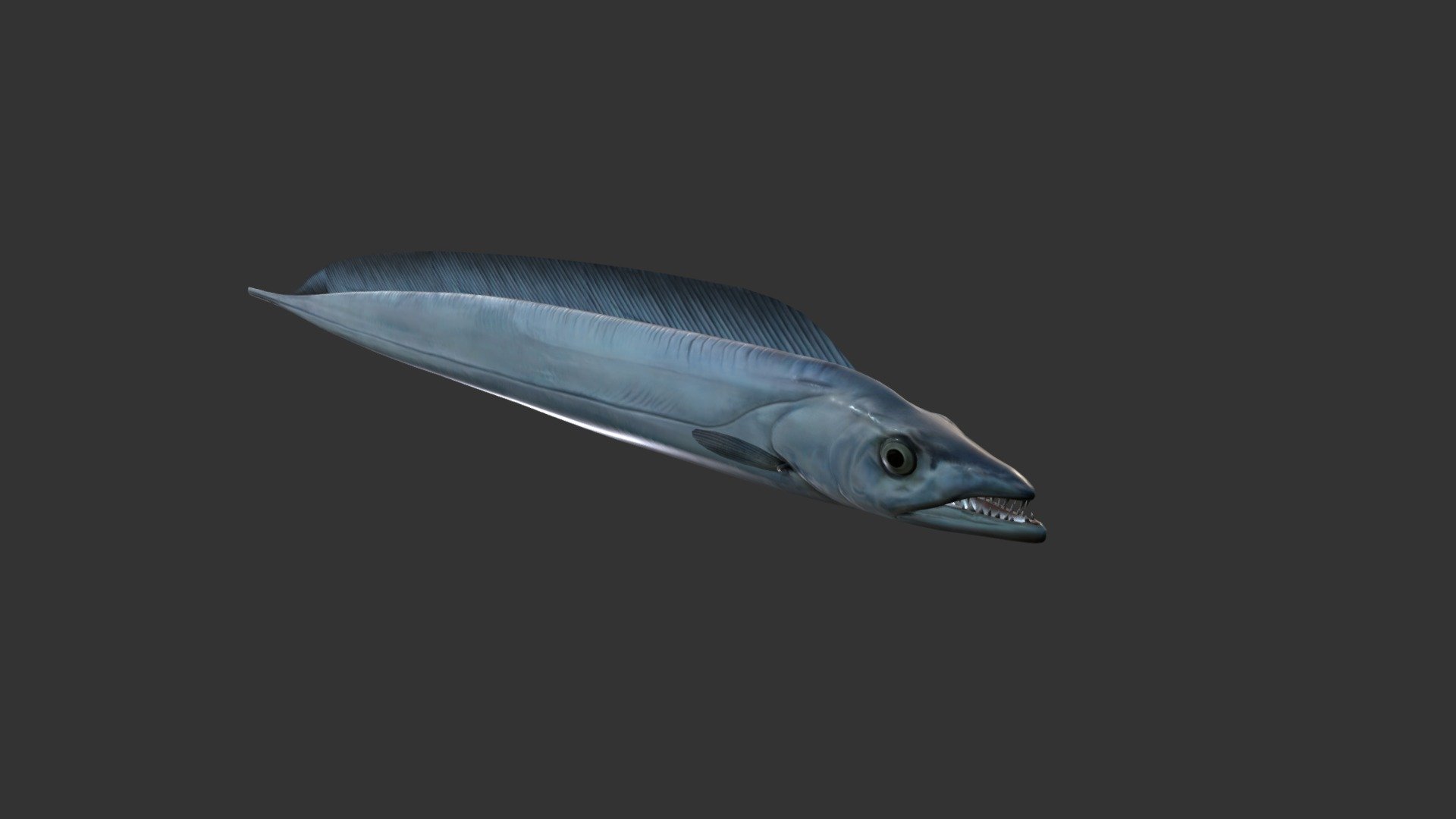 Sea Eel - Buy Royalty Free 3D model by 3djobteam 3d model