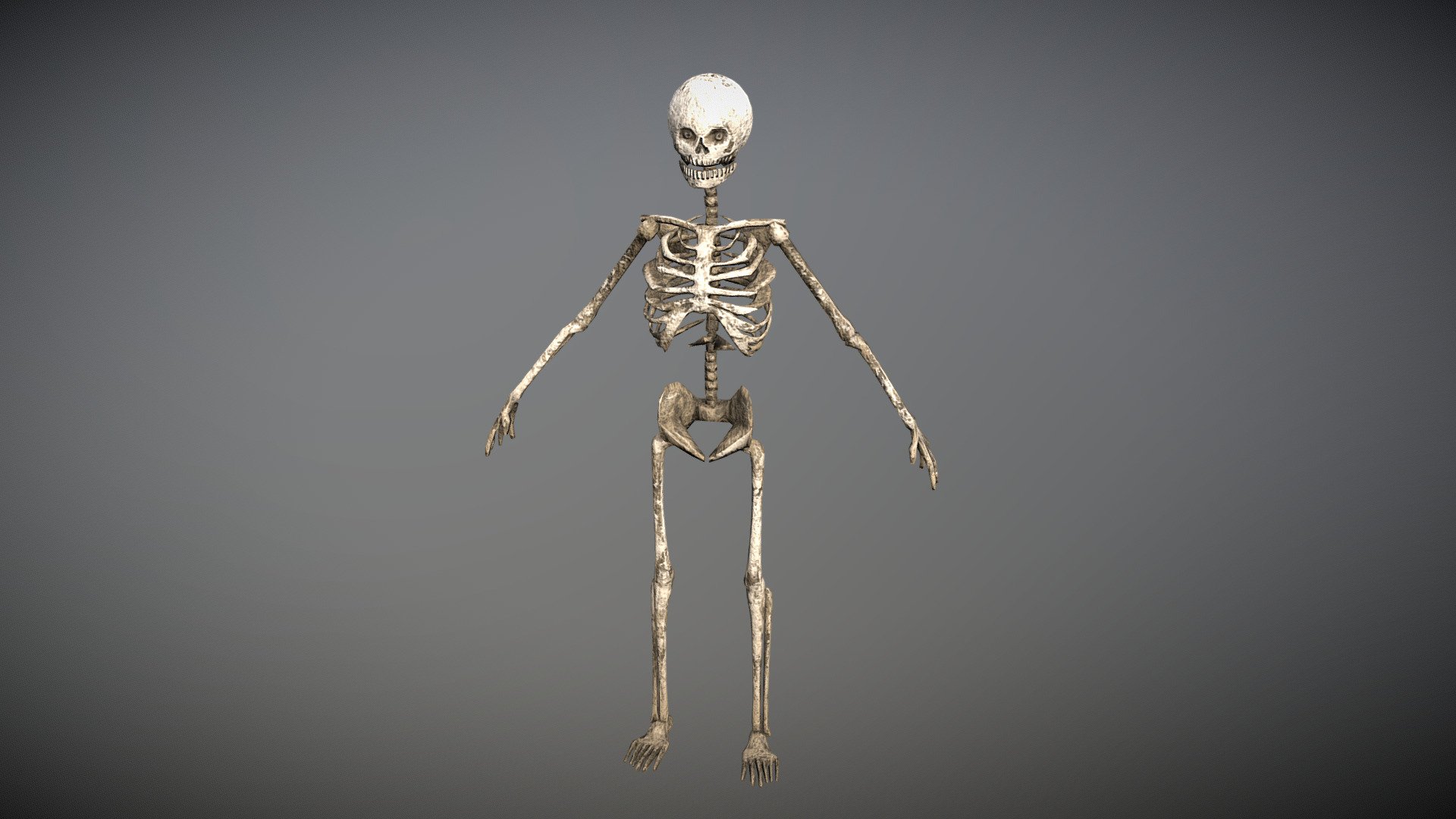 Low poly skeleton for game use&hellip; enjoy - Skeleton - Download Free 3D model by Thunder (@thunderpwn) 3d model