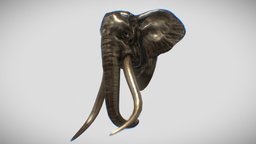 OLD TRUNK ELEPHANT texture test elephant, trunk, tusks, pachyderm