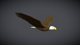 Low-Poly Eagle eagle, low_poly, low-poly