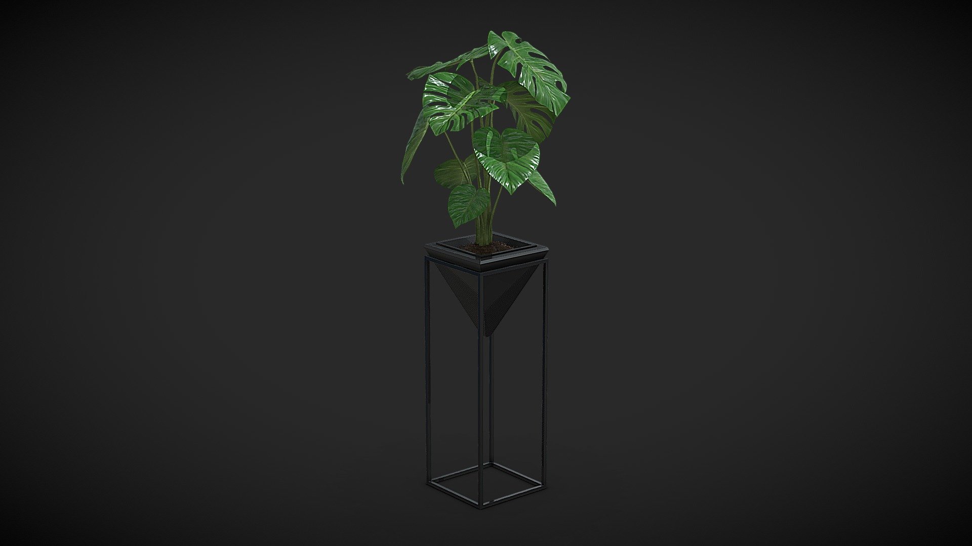 Cheese Plant - Monstera Deliciosa in a tall black pot.

Specification:




Model is in a real scale

Polygons: 60353

Verticles: 70875

Only Quads and Triangles used

Formats:




3ds max 2017 V-Ray (native)

3ds max 2017 Corona

3ds max 2017 Arnold

Cinema 4D R20 Standard

Cinema 4D R20 V-Ray

Blender Cycles

Unreal Engine 5.1

Unity 2020

FBX

OBJ

DWG
 - Cheese Plant III - Buy Royalty Free 3D model by Fusemesh 3d model