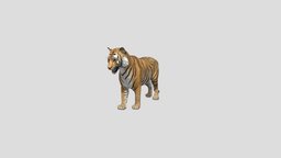 tigre tiger, realistic, animal, animated