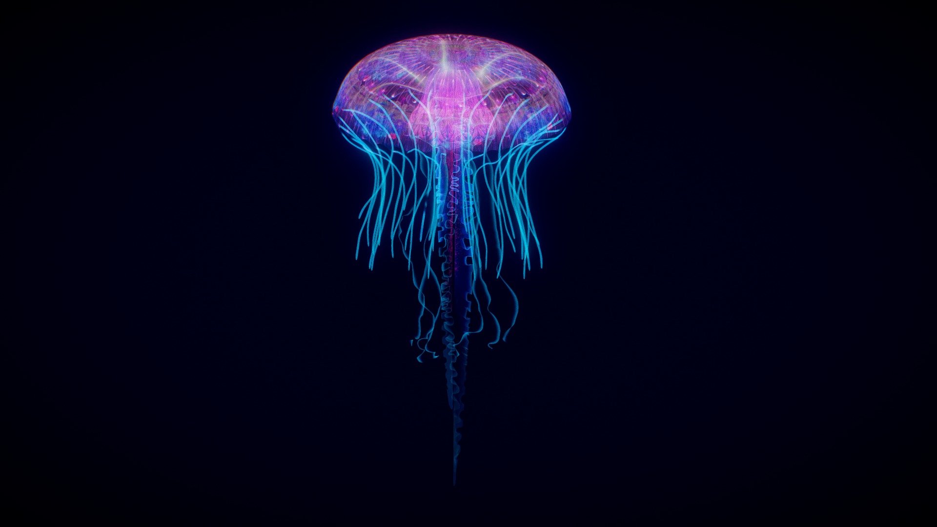 Feel free to contact me, if you need an animated version of the model! - Jellyfish - Buy Royalty Free 3D model by cyberhirsch 3d model