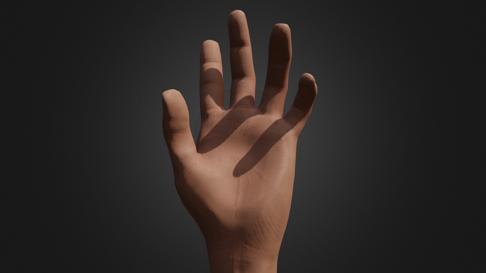 This hyper detailed rigged hand is made for CGI purposes mainly but also usable for high-end games. The model follows real hand reference and is entirely sculpted from scratch. The main reference was my own left hand (since i'm right handed) so by buying this model you are buying a close copy of my real hand, hope it comes in handy. The 2 million poly sculpt was baked onto this low poly hand mesh which you'll be obtaining. The FBX file includes everything needed for custom animation and custom use of this hand.

Includes:
4k textures (PBR Metalness), Hand Mesh, Hand rig, Animation - Hyper Detailed Rigged Hand - 3D model by taumich 3d model