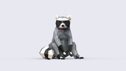 Low Poly Raccoon racoon, gray, thief, tail, mask, stripe, low-poly, blender, lowpoly, animal, night-creature