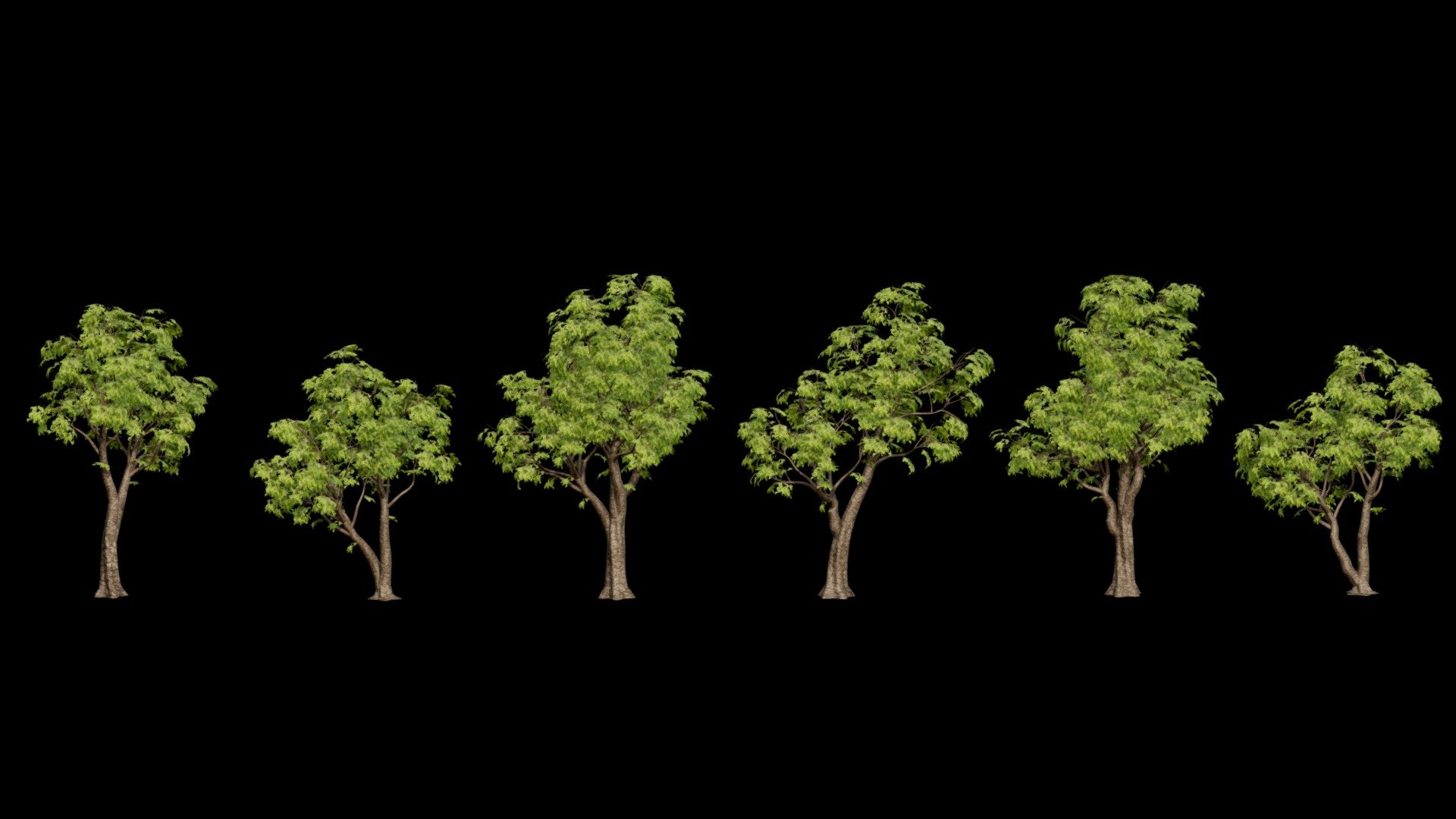 **Tree Pack 06 **




IN FBX FILE FORMAT ( version 7.5 (2016)

You can use this  Tree Pack 06  model.
easily in ur advertising or visualisation projects..

*NOTE Whenever you buy any model.
Please check the quality of the model,  UV'S and its texture size.
And if you have any kind of problem in a model.
So feel free to contact with me
**





My Email : ubros27@gmail.com




Please don't forget to rate the model, for us it is very important :)


 - Tree Pack 6 - Buy Royalty Free 3D model by UJJWAL CHAUHAN (@Ujjwal-Chauhan) 3d model