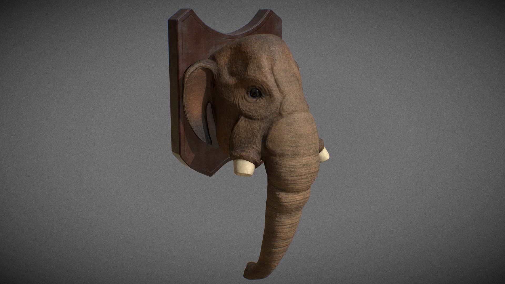 Low-poly PBR Mammoth Elephant Head model intended for game/realtime/background use.






Model was not intended for subdivision

Using Weighted Normal

Real World Scale Measurements

No special plug-ins necessary to use this product 

Quad/Tris only polygon - 5593 count 

Texel density is 59.35 for 4k UV-maps.



Model is included in 4 file formats (Include only geometry with uvs, and texture need add manually)




Maya 2019 

FBX 

OBJ 

GLTF/GLB 2k and 4k file



High quality 4096x4096 resolution textures in PNG:





PBR Maps:
BaseColor, 
AO, 
Roughness, 
Metalness, 
Normal, 
Glossiness, 
Specular. 




Unity maps (+HDRP maps):
Diffuse, 
Normal map, 
MetallicSmoothness,
HDRP mask map.




Unreal Engine 4 maps:
BaseColor, 
Normal, 
OcclusionRoughnessMetallic.


 - Mammoth Elephant Head Trophy PBR - Buy Royalty Free 3D model by en3my71 3d model