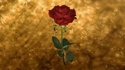 Rose red, flower, valentine, love, valentines, rose