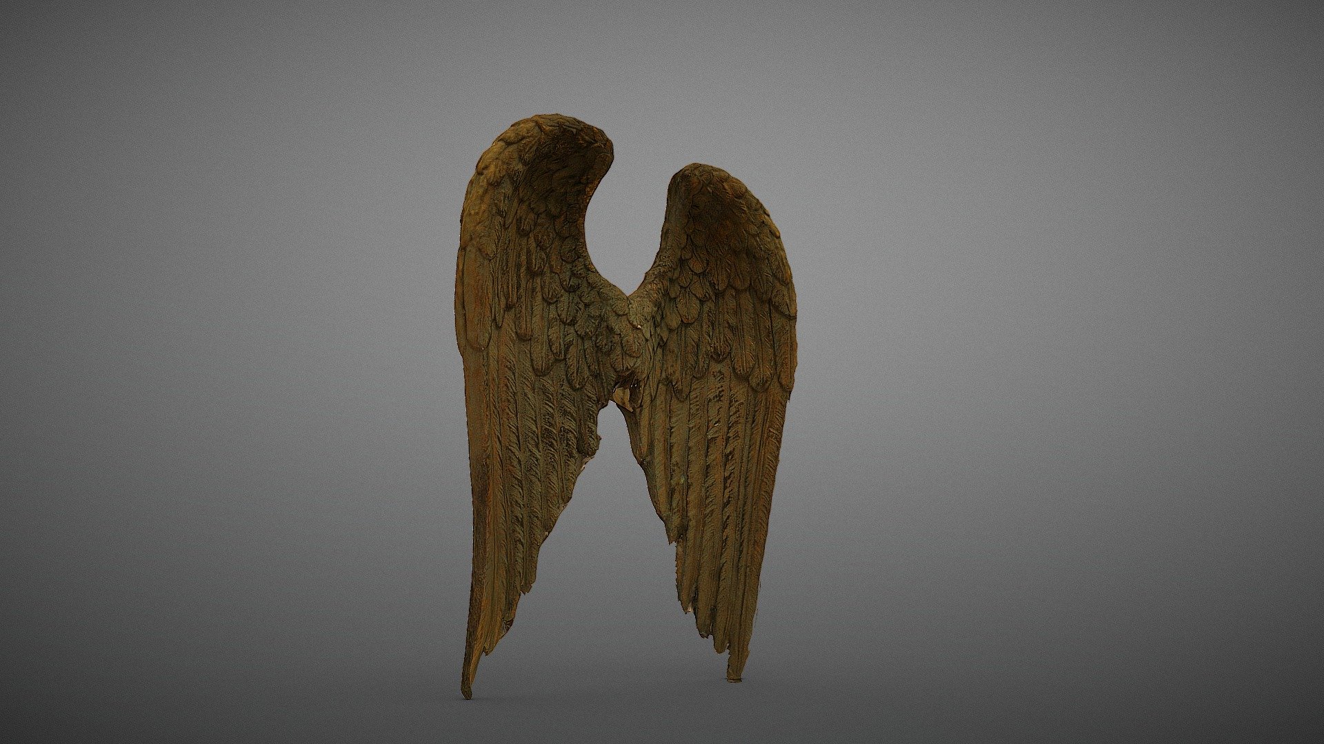 photogrametry of wing - wing - Buy Royalty Free 3D model by HIJAZIAH (@blaid1404) 3d model