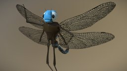 Cartoon Dragonfly