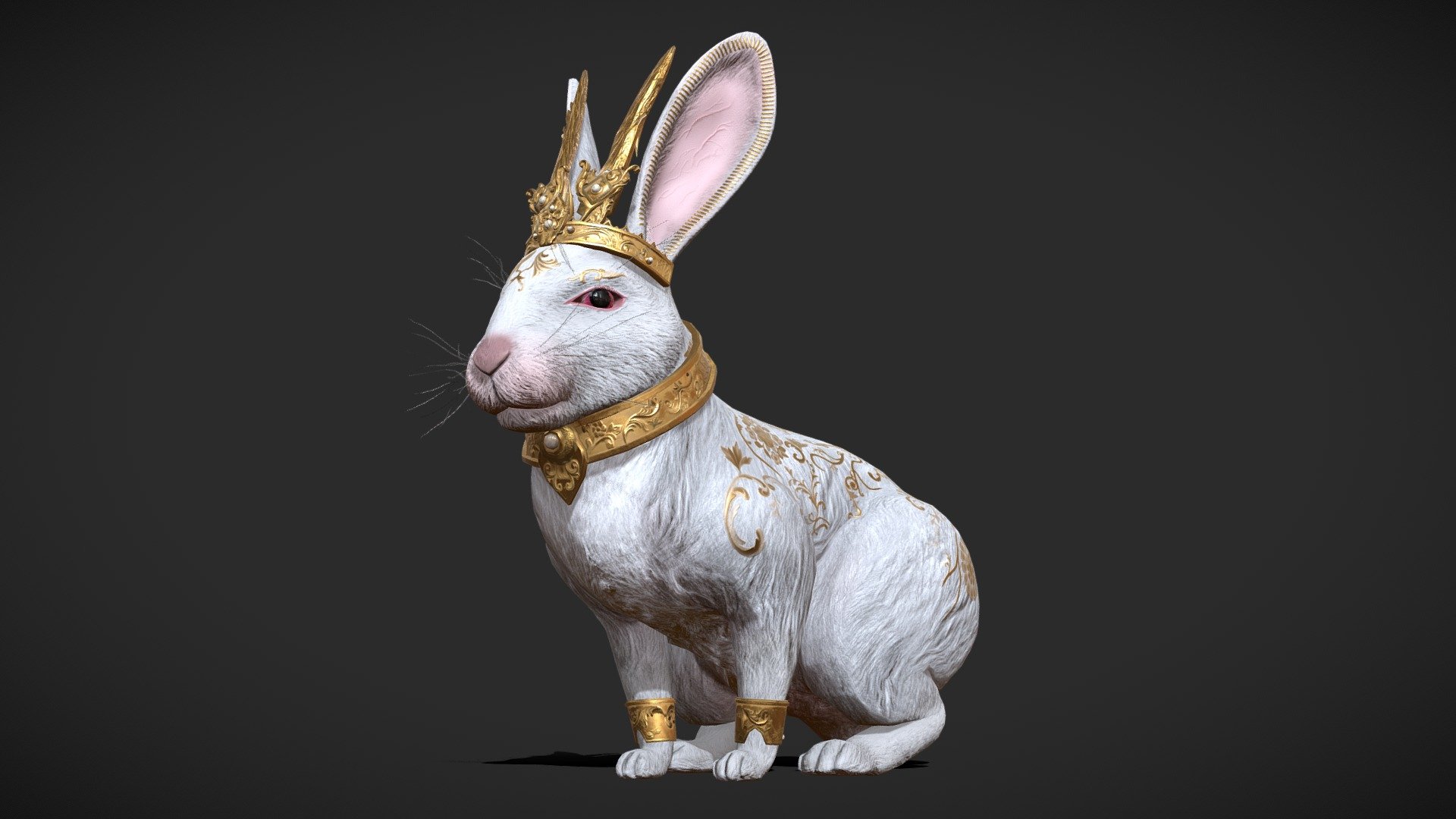 Video Preview
3D Rabbit model with a large set of animations and 5 types of skins is suitable for any task. Are you making a fantasy adventures / hunting game or an rpg for mobile devices, this model will definitely come in handy for you! The model has a lot of options for settings, disable unnecessary elements, change the color palette, and so on.

For the eyes/crown details its own material is used so you can adjust the color and emission.
Also you can use metalness map like emission map for Rabbit model, disable color map for Crown/Neclkace/Bracers and use any color what you want.

You can disable individually: Crown, Necklace, Braces, Cloak
Animation count: 29
Included: Uproject and .unitypackage - Fantasy Golden Rabbit - Buy Royalty Free 3D model by 2dhd 3d model