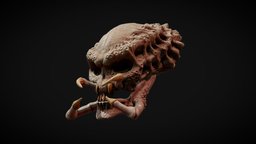 Predator Skull predator, preview, alien, substancepainter, substance, skull