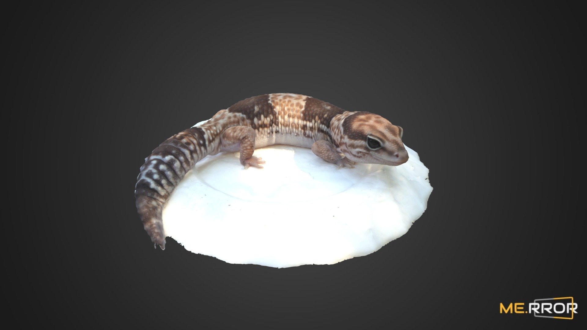 MERROR is a 3D Content PLATFORM which introduces various Asian assets to the 3D world


3DScanning #Photogrametry #ME.RROR - Lizard - Buy Royalty Free 3D model by ME.RROR (@merror) 3d model