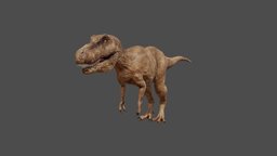 T-Rex organism, reptile, jurassic, carnivore, tyrannosaurus, trexdinosaur, lowpolymodel, rigged-character, pbr-texturing, character, texturing, animal, animation, gamemodel, dinosaur