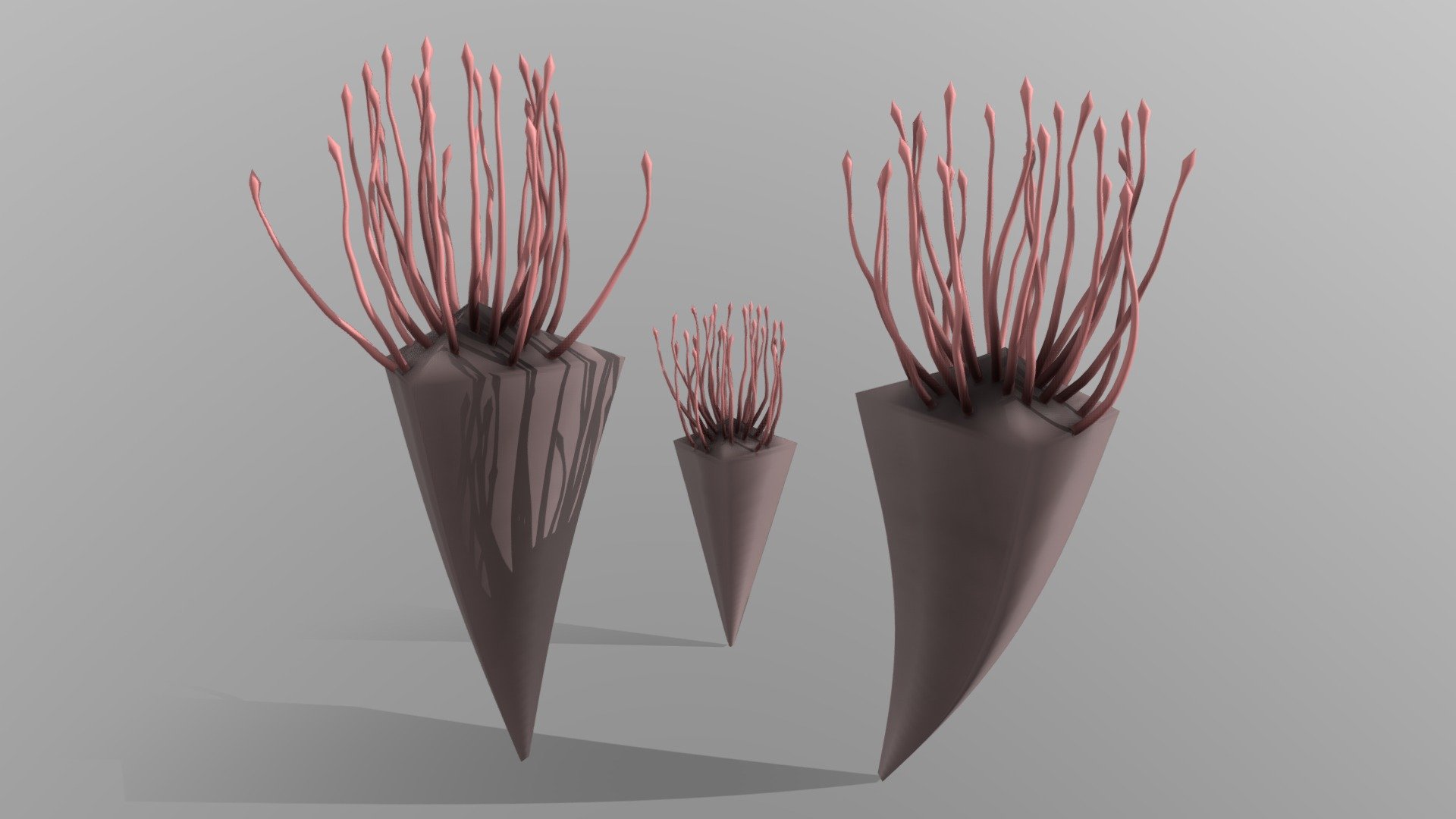 Conularia - 3D model by Paleobiome 3d model