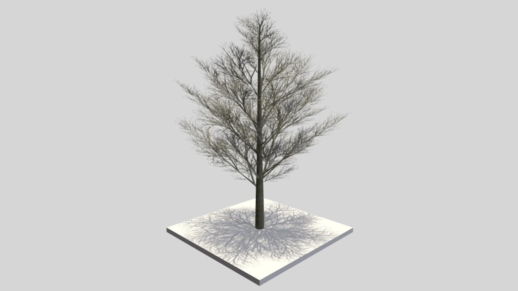 21 Meter Platane im Winter.



Aus dem VIS-All 3d-baeume-4

 



Modelliert und texturiert mit Blender 3d model