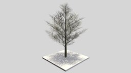 Platane 21 Meter tree, winter, baum, blatt, game-ready, blender-3d, vis-all-3d, platane, 21-meter, platane-21-meter-winter, leaf-tree, low-poly, lowpoly, blender3d
