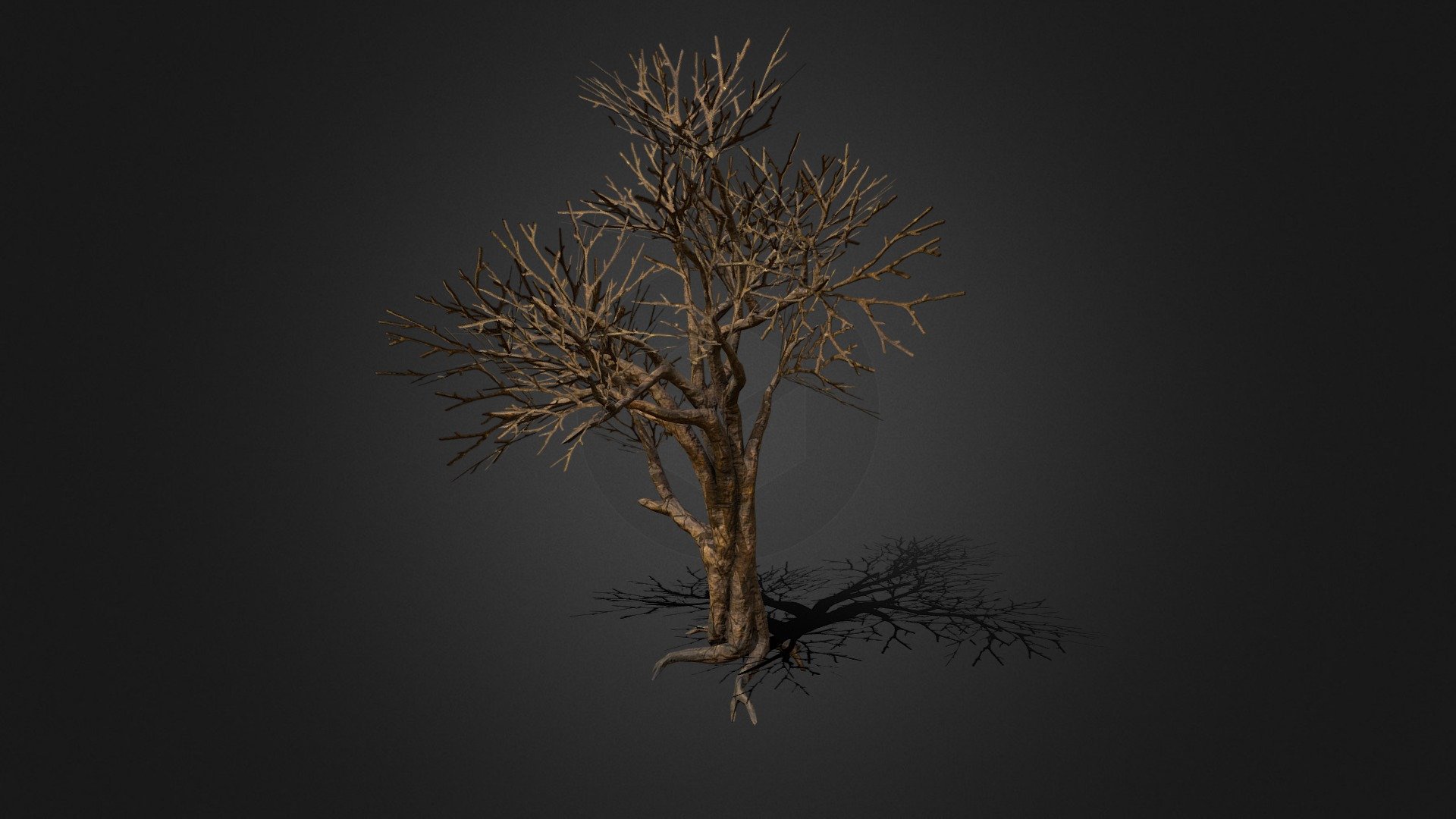 low poly tree - Tree - Download Free 3D model by DJMaesen (@bumstrum) 3d model