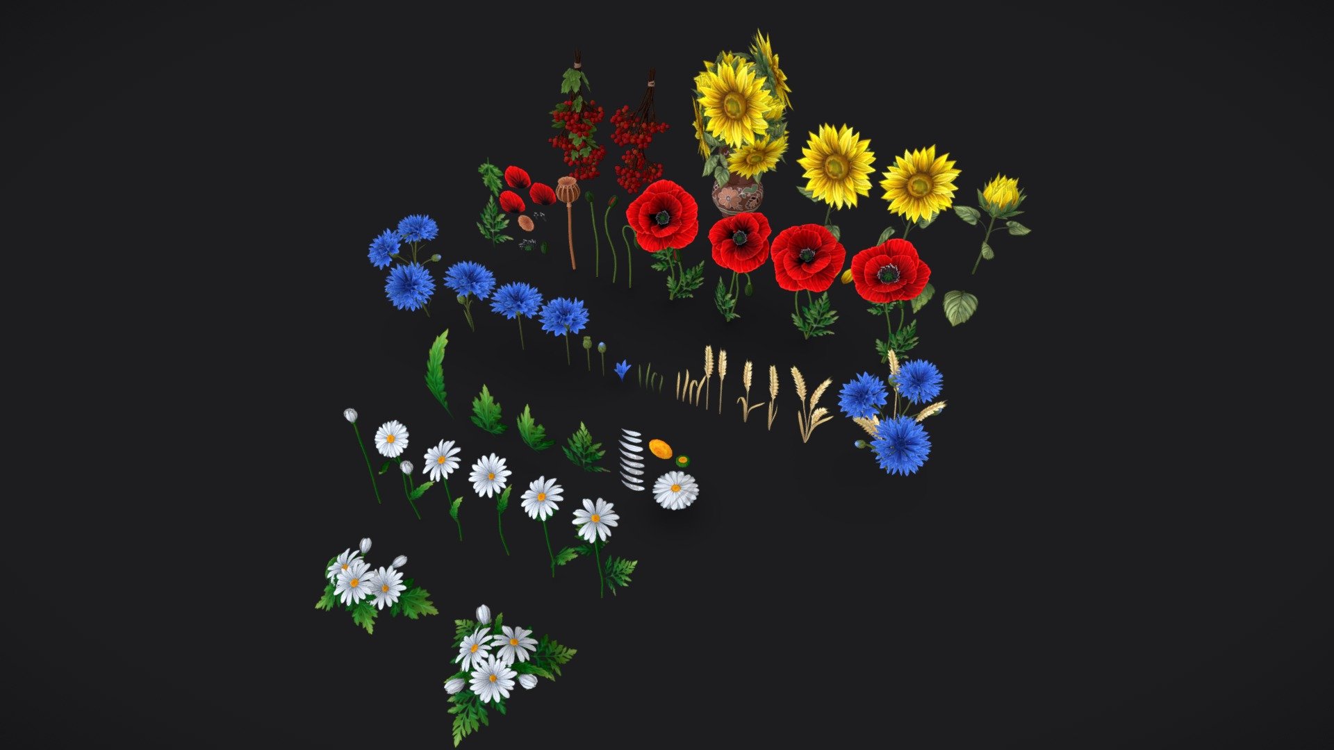 The pack of wild flowers handpainted models. 
These are common field flowers of Ukraine.  

The archive contains the following files:




.MA file (original MAYA file, version 2023) with all meshes

FBX and OBJ files with all meshes

separate FBX and OBJ files for each flower set (5 pcs)

.tga textures for BaseColor and Opacity

Geometry:




Guelder Rose
10 200 polygons

Texture: 
2k texture for berries
1k texture for leaves 




Sunflower Pot
204 polygons

Texture: 2k texture




Sunflower
9 300 polygons

Texture: 1k, 2k, 4k options 




Cornflower and Wheat
10 600 polygons

Texture: 1k, 2k, 4k options 




Poppies
4580 polygons

Texture: 1k, 2k, 4k options 




Daisies
3700 polygons

Texture: 1k, 2k, 4k options 

Each model also can be viewed or bought separately.
If you have any additional questions or any problems related to the model, kindly contact me: katy.b2802@gmail.com - Pack Stylized handpainted wild flowers - Buy Royalty Free 3D model by Enkarra 3d model
