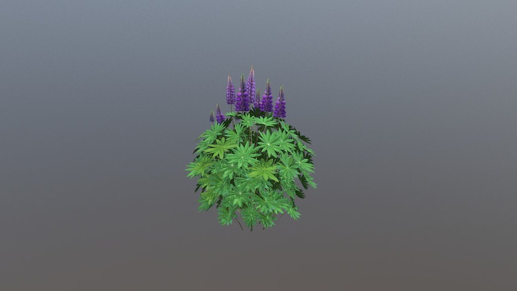 A low poly Lupine plant - Lupine Plant - Download Free 3D model by rufusrockwell 3d model