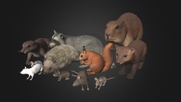 Pack Of Small Animals rat, forest, mouse, hedgehog, raccoon, squirrel, otter, rodent, beaver, marten, animated, noai