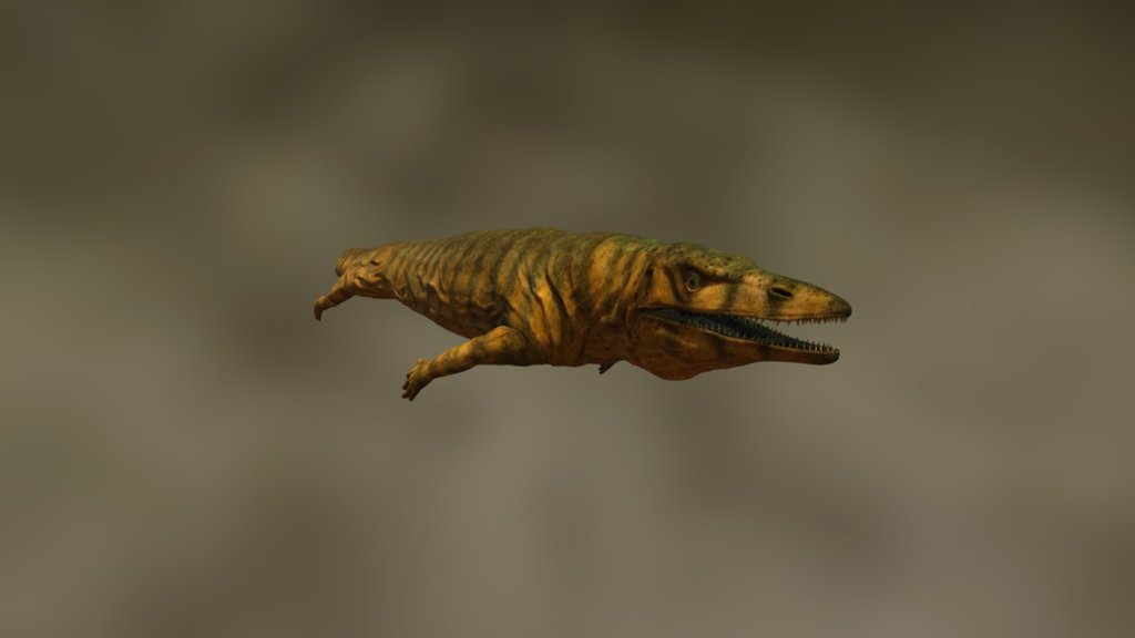 Hello Here's another  old model,   The Dallasaurus  is a ancestor of mosasaurs,  he was only  small  about 2 ft.

Instagram https://www.instagram.com/julian_johnson1234/ - Dallasaurus - Download Free 3D model by Julian Johnson-Mortimer (@FreddyFoxFreddy) 3d model