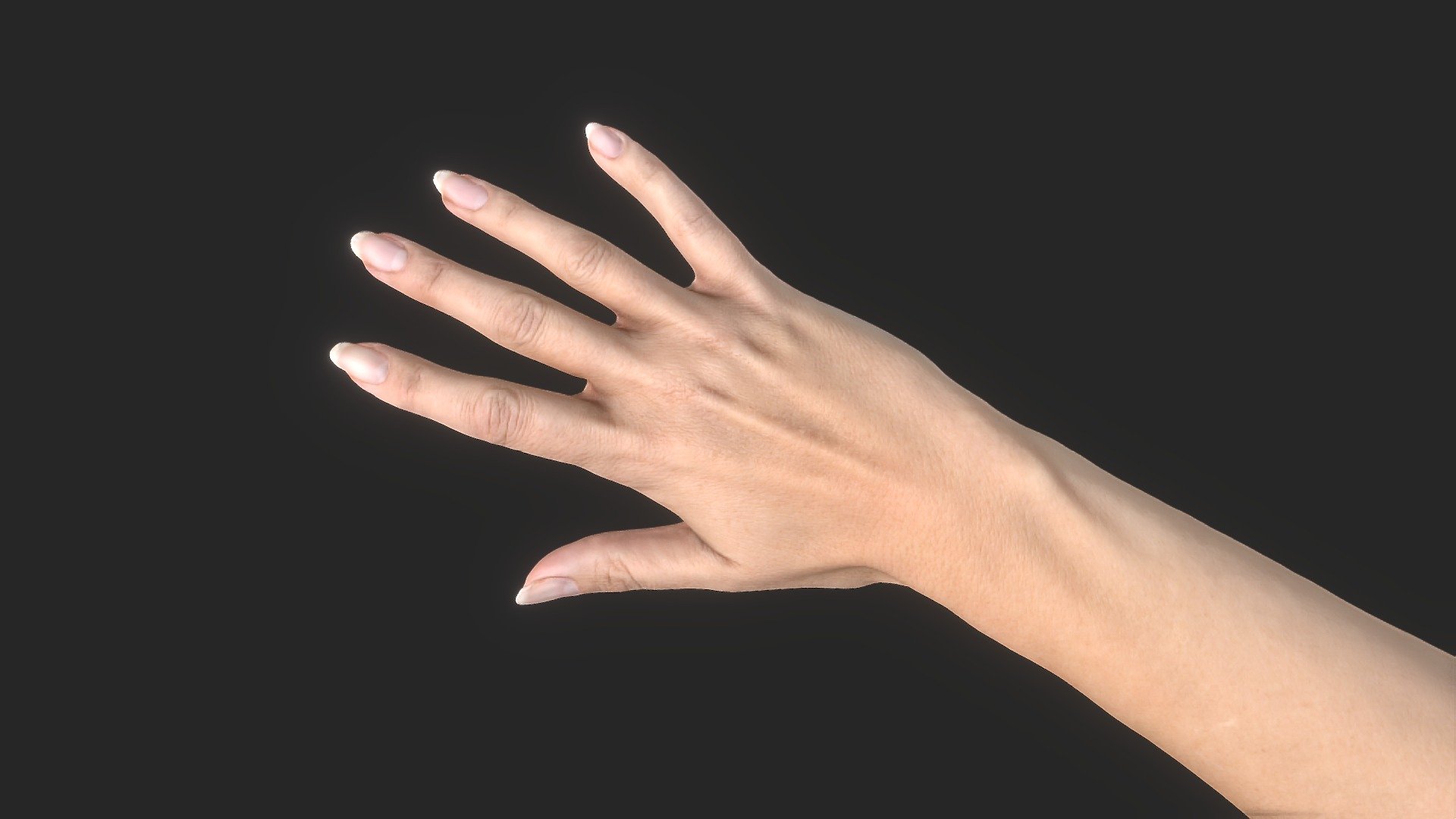 Female Hand Neutral Decimated 750K - 灰堆之手 - 3D model by shadwn 3d model