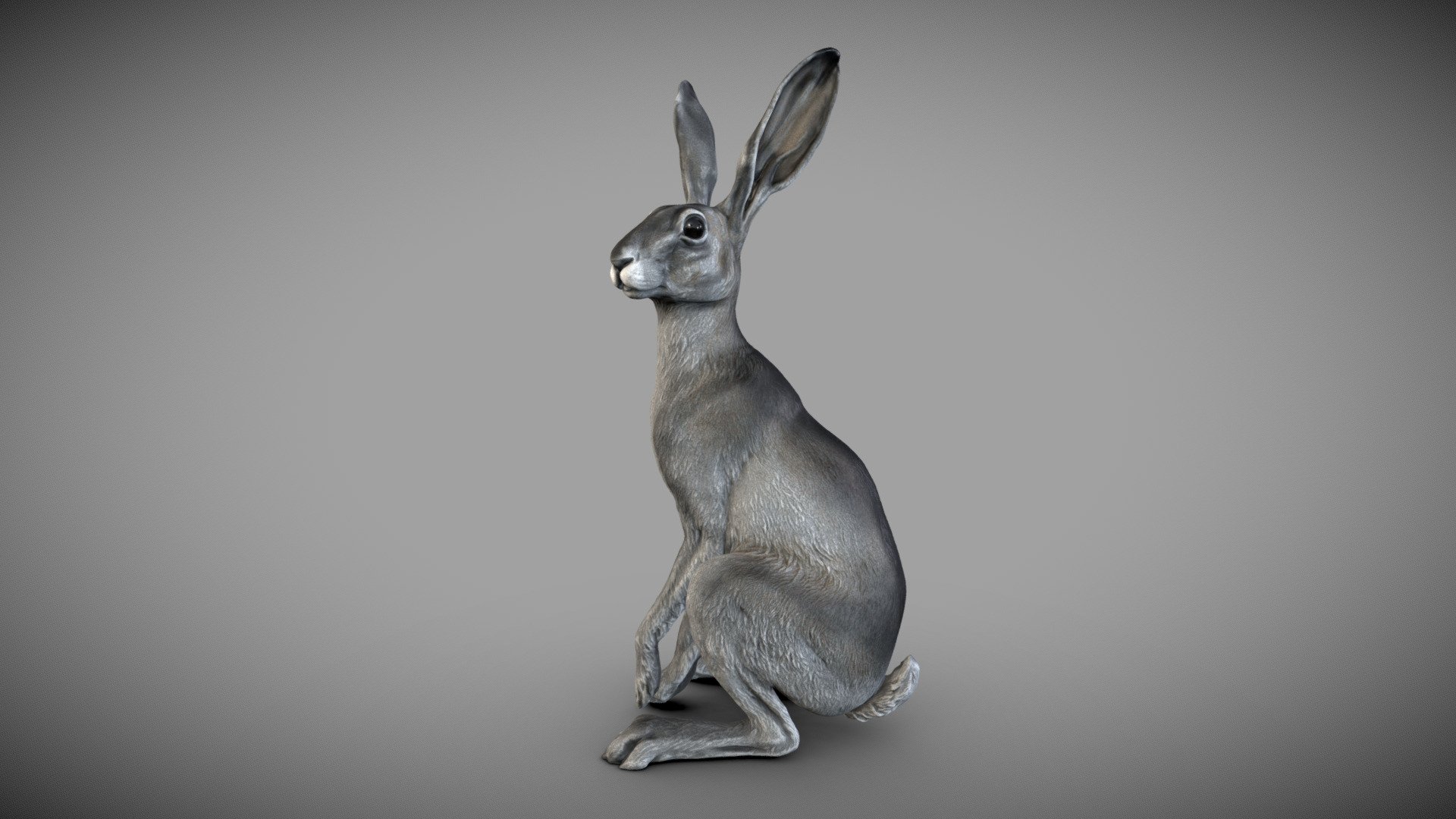 Happy New Year ! Year of the Rabbit  ))) - Hare | 3D Sculpting - Buy Royalty Free 3D model by BreathTime 3d model