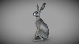 Hare | 3D Sculpting rabbit, hare, beasts, character, characterdesign, concept, sculpture