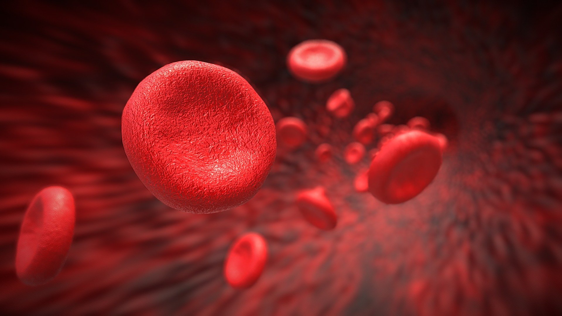 Red blood cells, also referred to as red cells, red blood corpuscles, haematids, erythroid cells or erythrocytes, are the most common type of blood cell and the vertebrate's principal means of delivering oxygen to the body tissues—via blood flow through the circulatory system - Red Blood Cells - Buy Royalty Free 3D model by Rossty (@rossty3d) 3d model