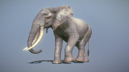 Elephant Baby To  elephant, baby, realistic, animal