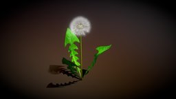 dandelion plant, leaf, nature, dandelion, rigged_model