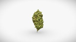 Cannabis Bud 7 cannabis, weed, marijuana, photogrammetry, 3dscan