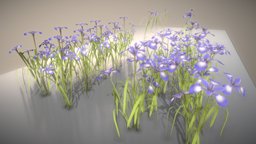 Iris Flower (Low-Poly and Mid-Poly) flower, mid-poly, blum, iris, game-ready, vis-all-3d, blumen, 3dhaupt, schwertlilien, iridaceae, asparagales