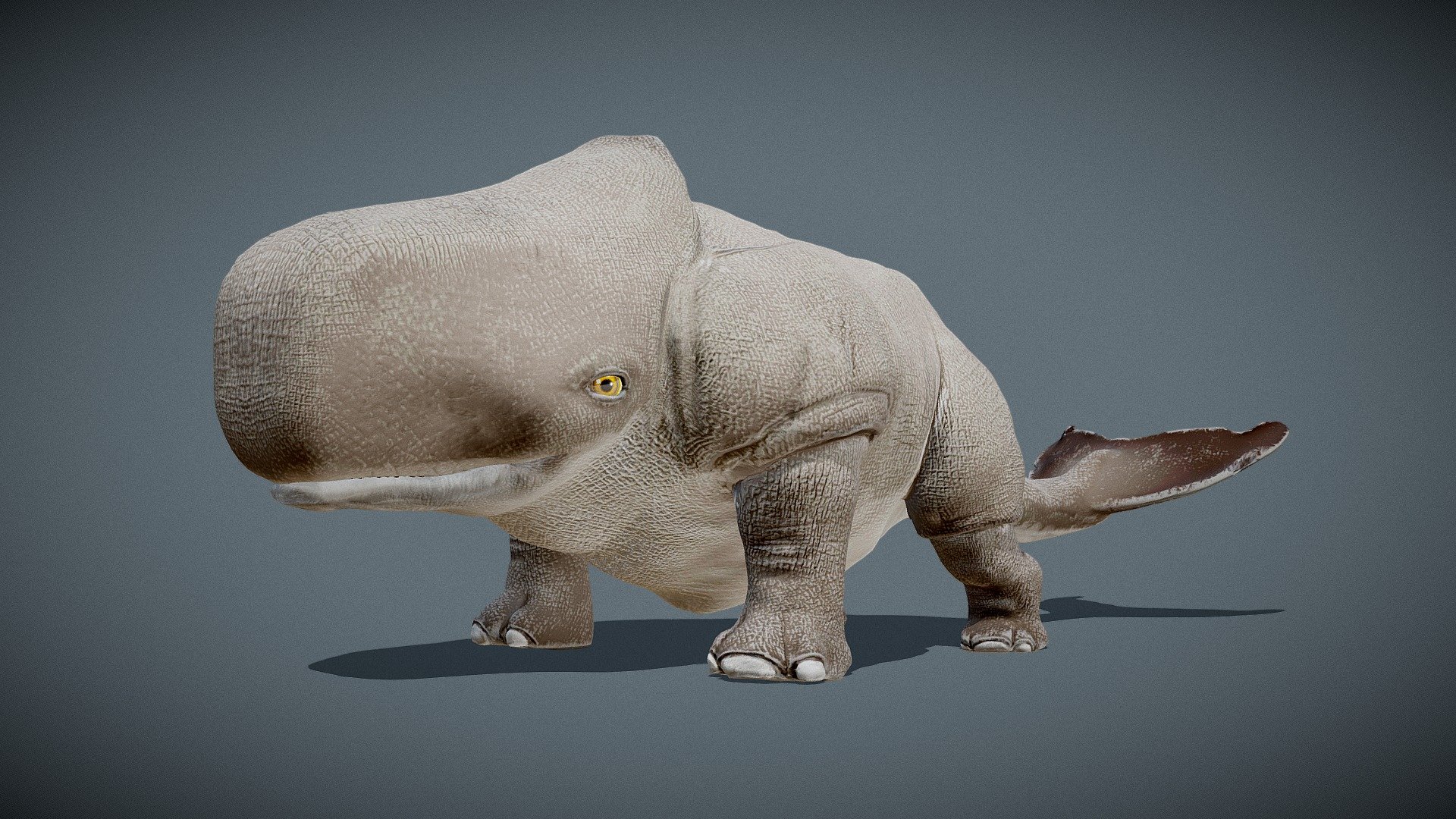 Hybrid creature of whale and rhino
sclupting : zbrush
retopo, rigging and animation : blender
texture : substance painter - Whale Rhino - 3D model by y.hiu (@too.yulianto) 3d model