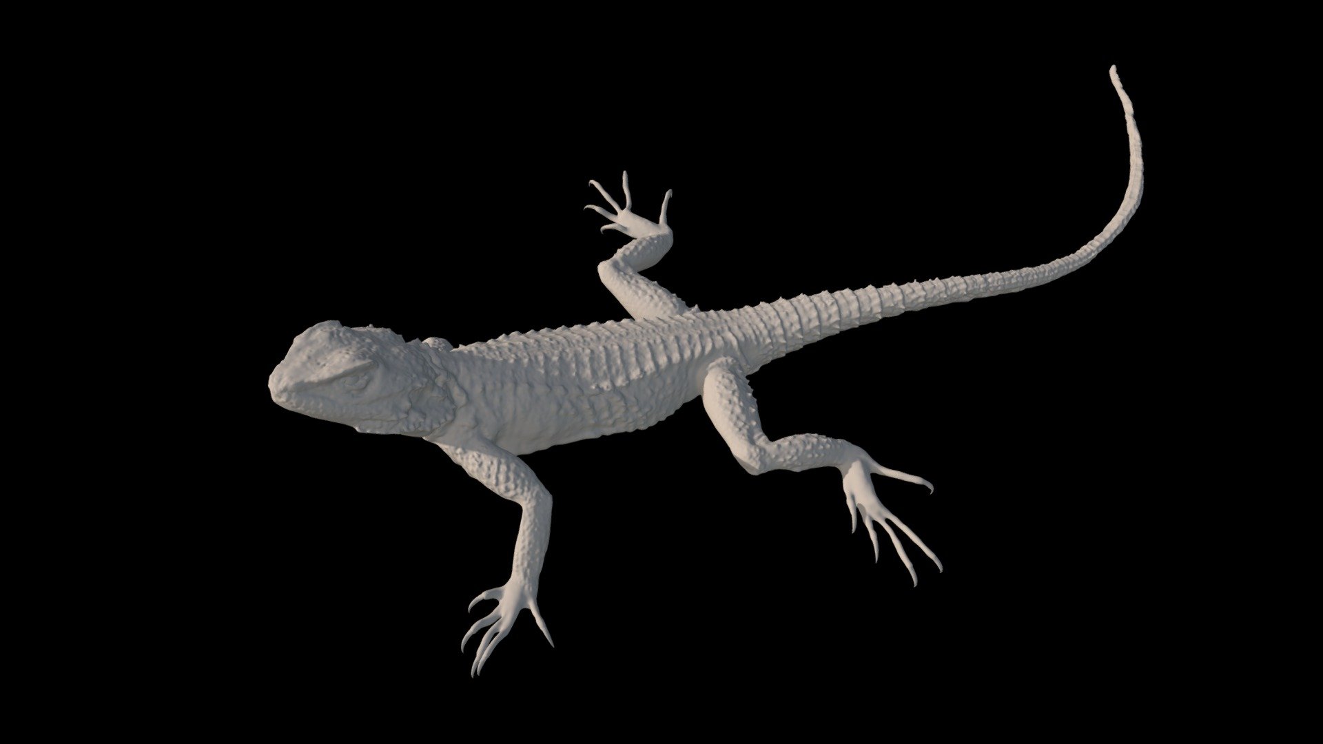 This is a 3D mesh of a Sling tailed Agama lizard (Stellagama stellio cypriaca) scanned using the Beastcam MACRO on a live lizard in Cyprus. The mass of the lizard is 78 grams. CG artist Jer Bot retopologized and reconstructed the snake in the open source 3D animation software Blender (blender.org). He did this through images captured using an array of six Canon G16 cameras and other reference photos. The construction of this model is part of the post-doc research of Dr. Savvas Zotos (POST-DOC/0916/0034)(https://retrack.terracypria.org) and is co-financed by the European Regional Development Fund and the Republic of Cyprus through the Research and Innovation Foundation. This 3D model will be used as a means for both studying and presenting the species movement and behavioural patterns.

Downloads are freely available for creative and non-profit use. To inquire about licensing, please visit www.digitallife3d.org 3d model
