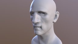 Head sculpt, normalmap, head, zbrushsculpt, man, test, zbrush, modelling