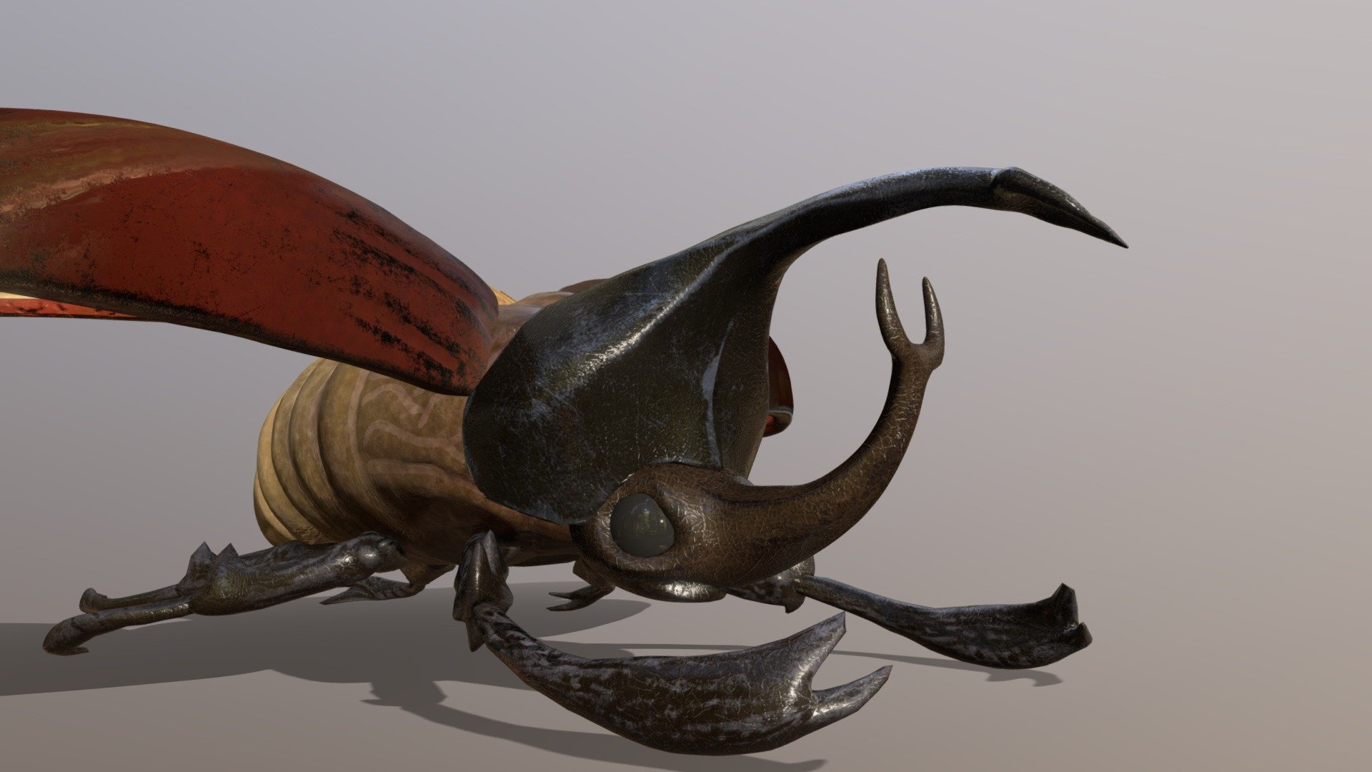 Se llama Roberto :) - Rhino Beetle - 3D model by Laupere14 3d model