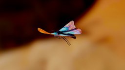 Animated Flying Fluttering Butterfly Loop