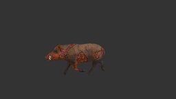 boar_diseased boar, lowpoly, zombie
