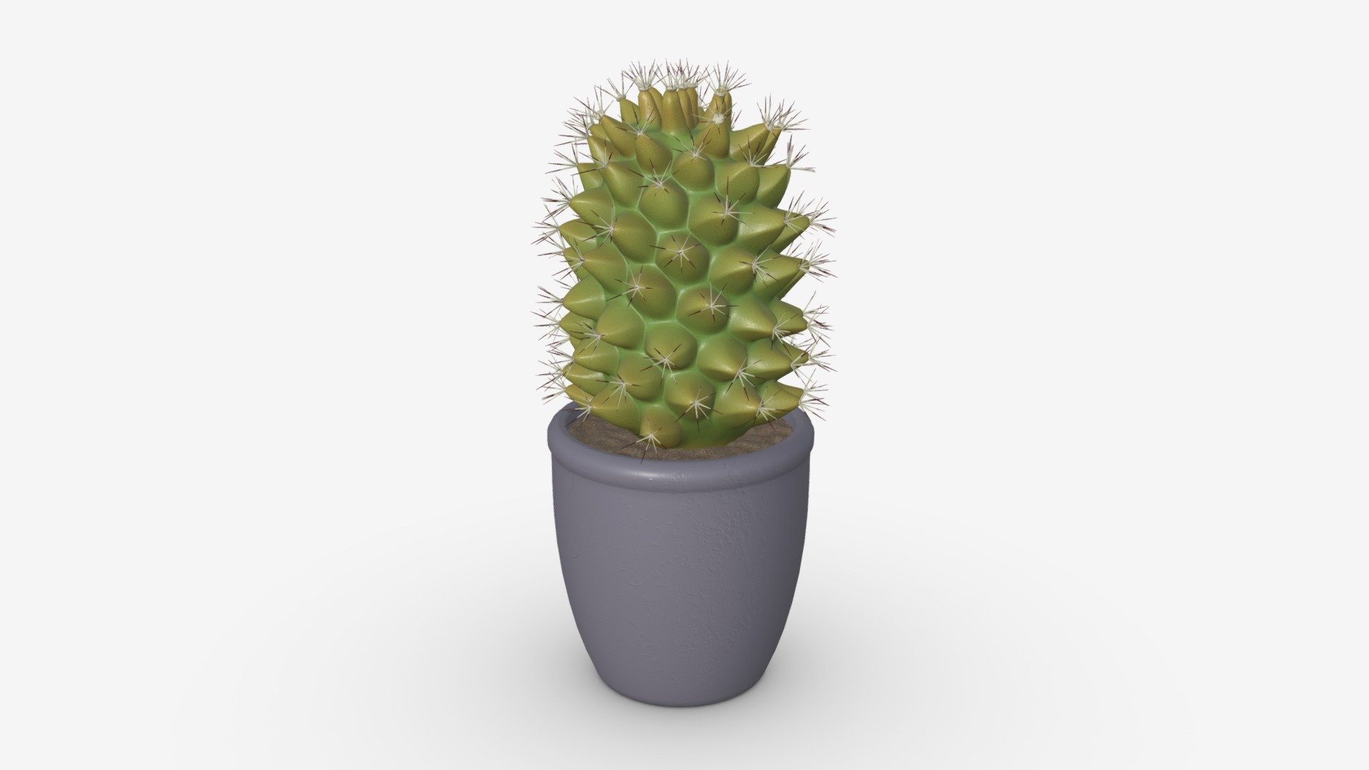 Cactus tall in pot - Buy Royalty Free 3D model by HQ3DMOD (@AivisAstics) 3d model