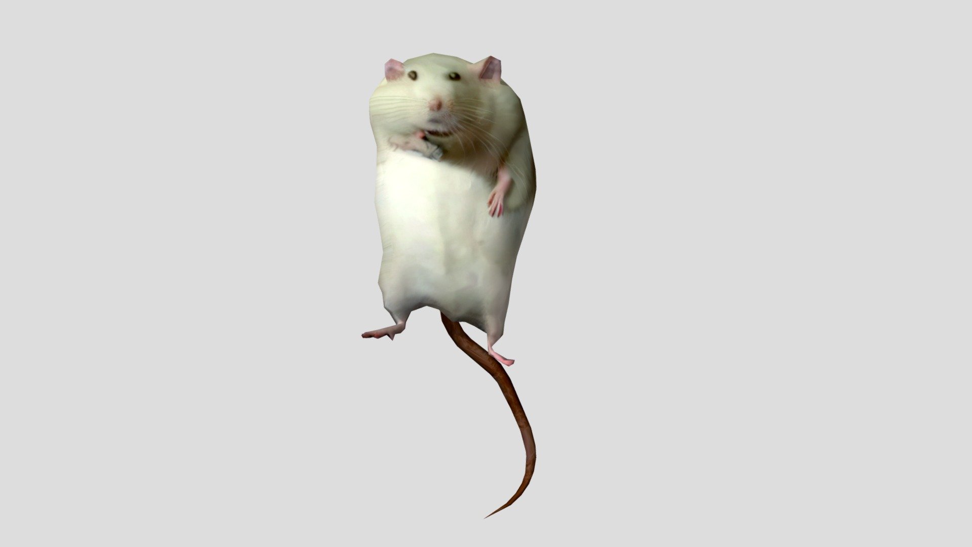 model from original addon, this time i won't repeat my mistakes and let anyone publish it prior to me. i don't know actual rat's or owner's name - robert the fat rat - Download Free 3D model by bean(alwayshasbean) (@alwayshasbean) 3d model