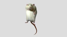 robert the fat rat rats, gmod