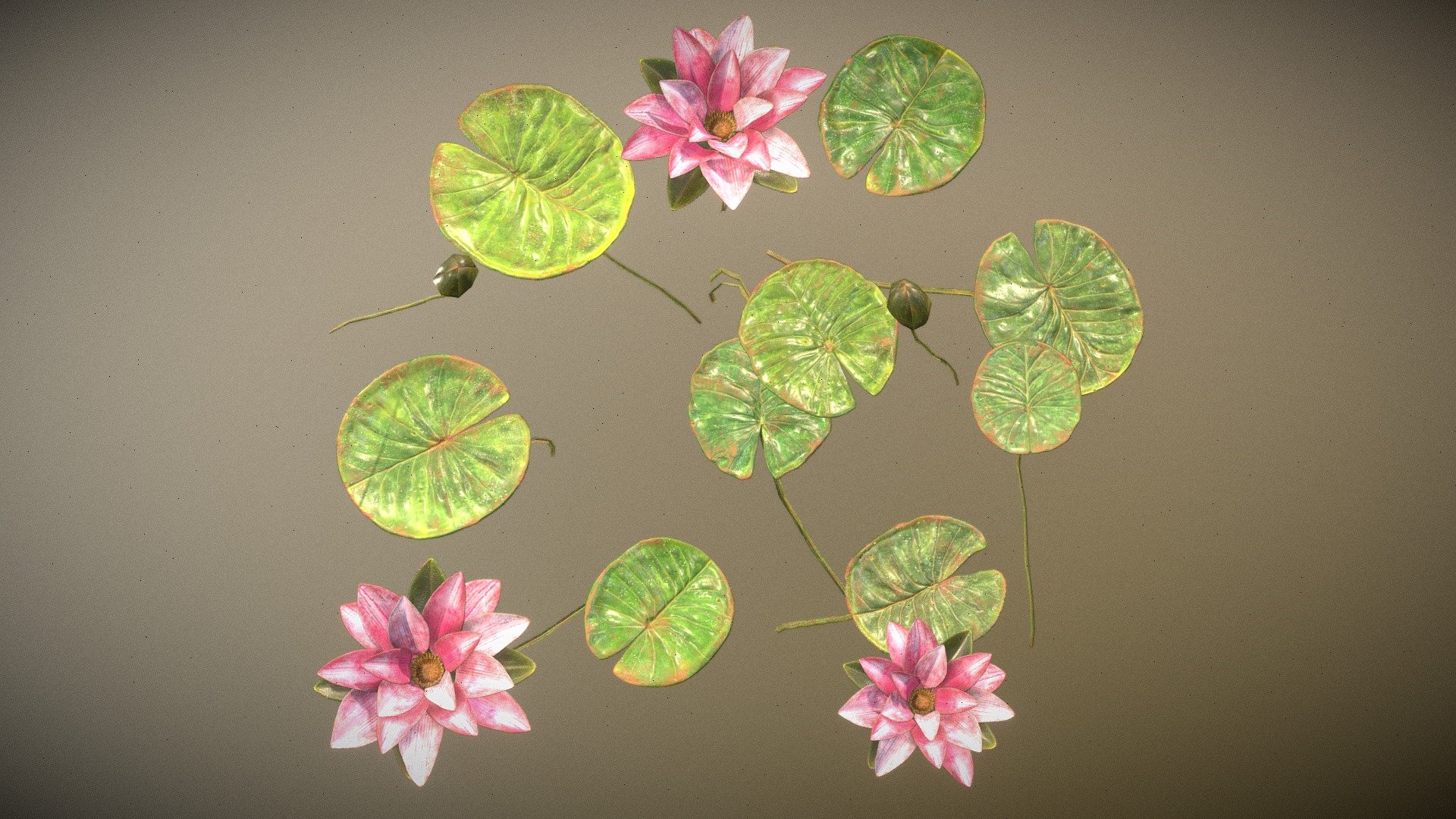 Water Liles, a project I did to practice the process of creating a plant for Games, started from sculpting the high poly water lilies meshes in Zbrush and then baking the mesh maps to a plane and PBR texturing in Substance painter, after that I created the cutout meshes in Maya by manually cutting meshes from a plane and then creating a variation in maya and finally previewed it in Marmoset toolbag.
Project link:
https://www.artstation.com/artwork/QnODOL
I have recorded a YouTube timelapse video showing the whole process:
https://youtu.be/F-HiQMwLufM
I also did a small prerecorded demo session in Arabic for Egypt Game Developers (EGD) for Global Game Jam 2023:
https://youtu.be/OIf7-30WyoY
Video in their channel with Q&amp;A:
https://youtu.be/Okz0YxBTLqk - Water Lilies - Buy Royalty Free 3D model by tareklatif 3d model